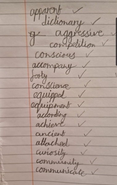 This isn't an average 8 year olds drawing is it??