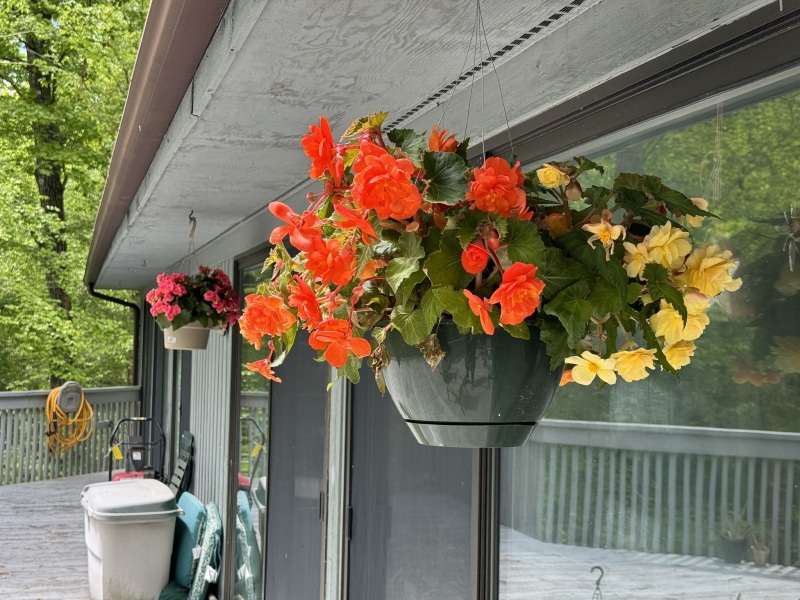 Come and tell me your dull and unexciting news 29: Calmly through the day