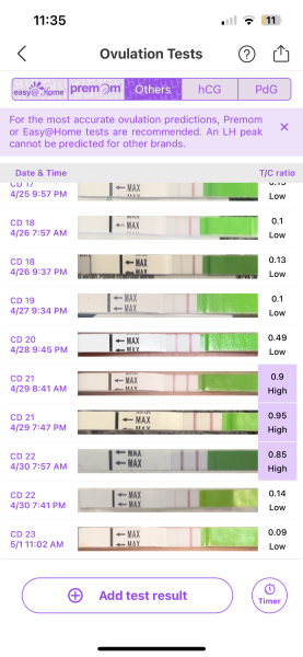 Ovulation after chemical pregnancy