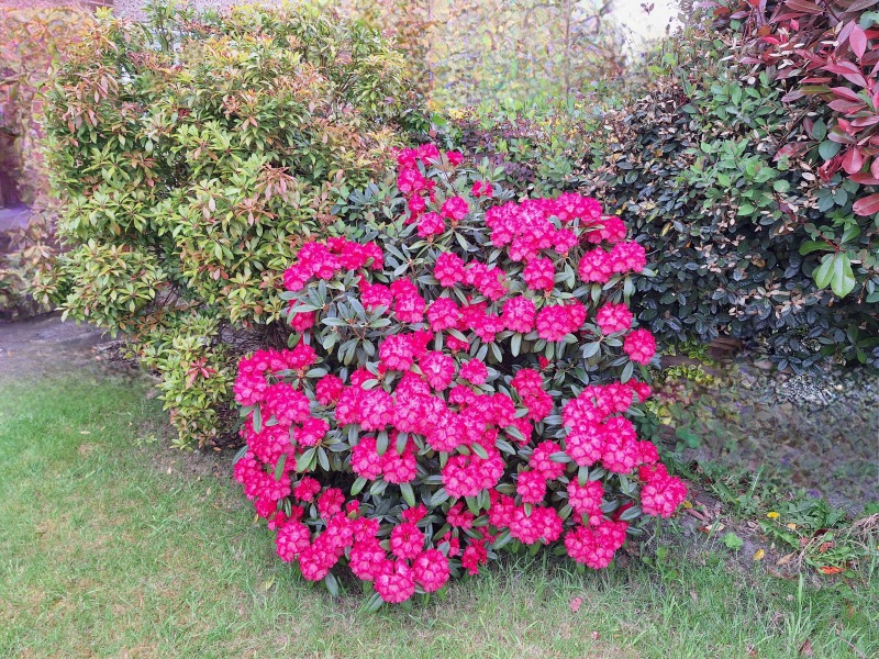 Come and tell me your dull and unexciting news 30: Calmly through the day