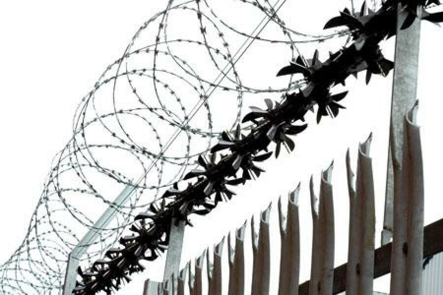 Do anti-cat spikes work?