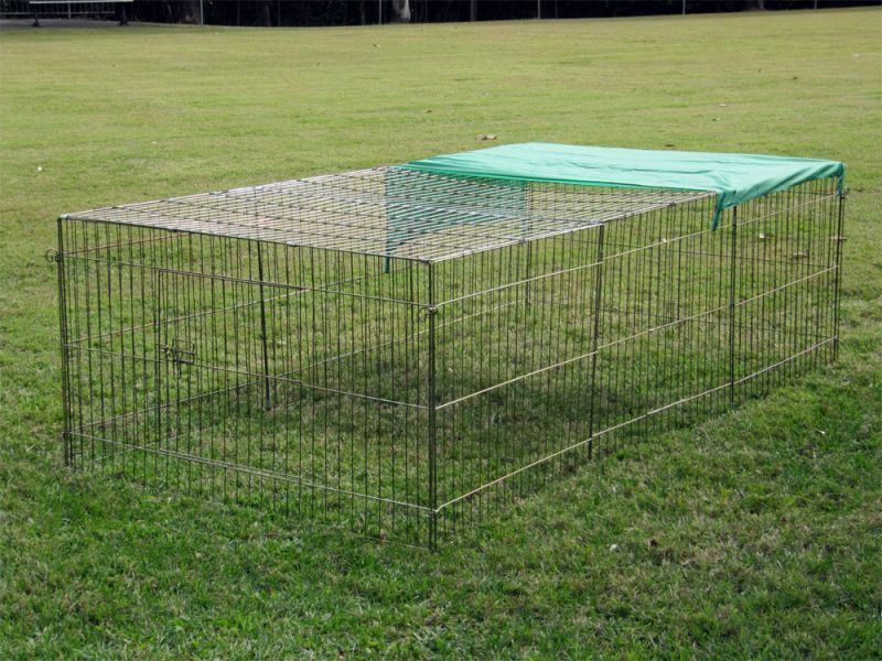 Movable house & run for Guinea pigs - anyone used Omlet?