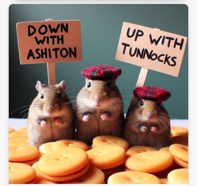 Aston University + gerbil merch thread