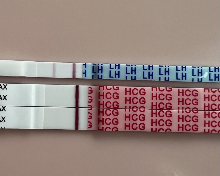 A line eye enthusiast #2