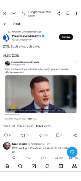 Zoe Williams on Wes Streeting