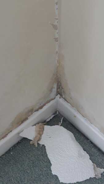 To ask about this damp?