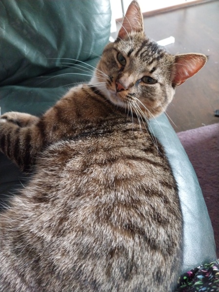 Thread 45 Sunak; Remove one letter and tell his future"