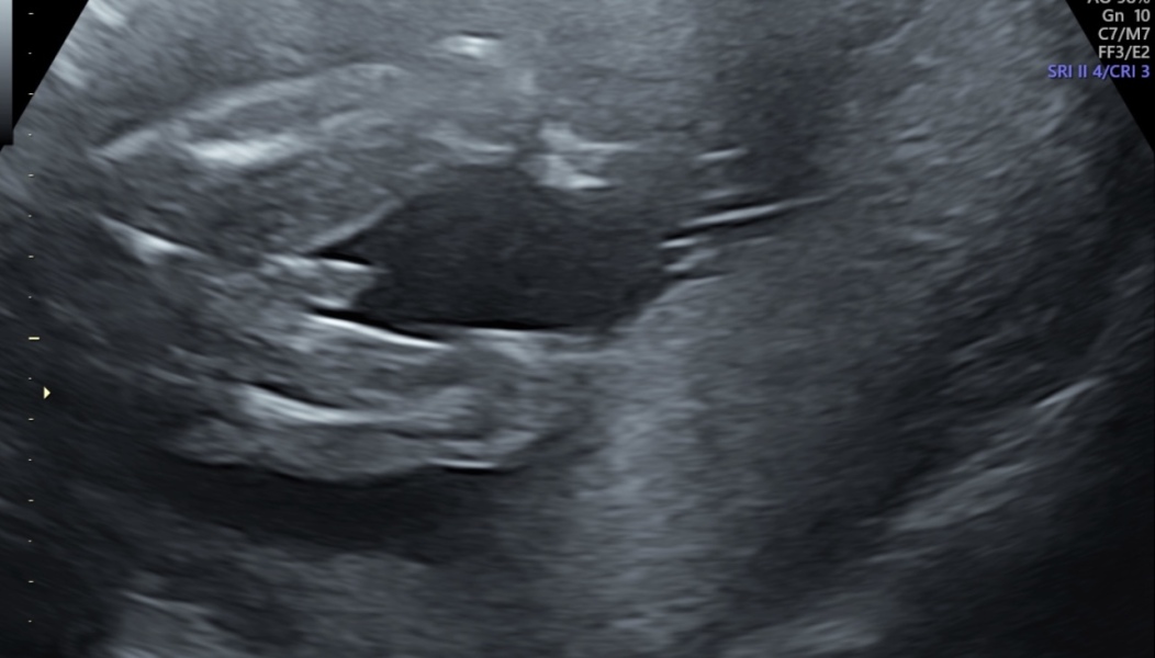 September 2024 - Thread 7! 🐣🧡💛❤️