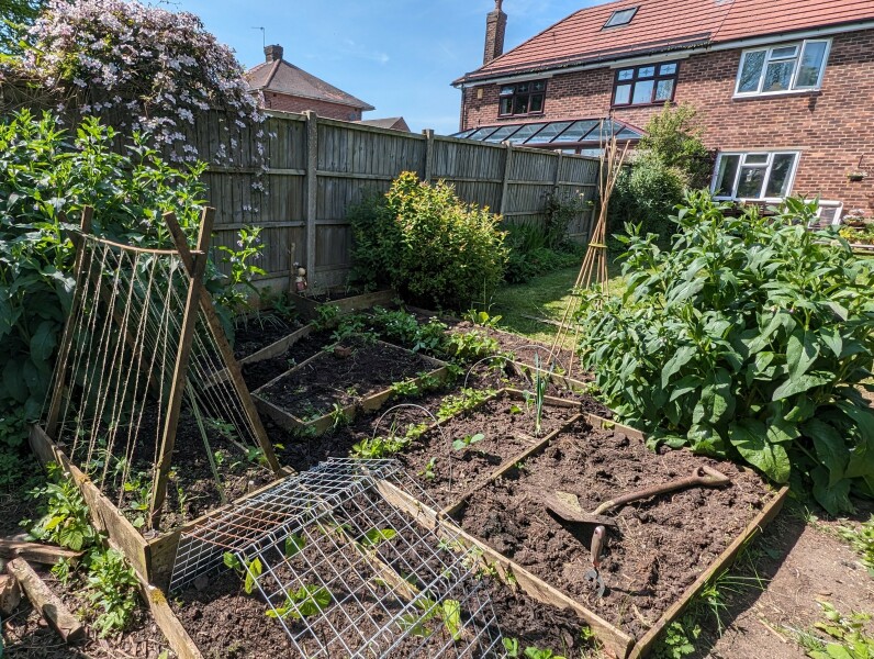 The Vegetable Patch 2024/2025