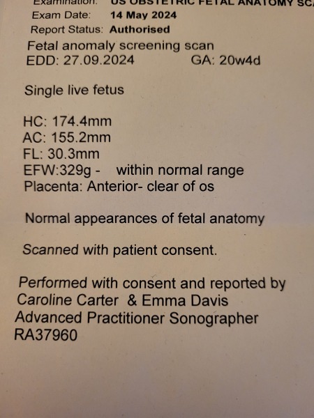 September 2024 - Thread 7! 🐣🧡💛❤️