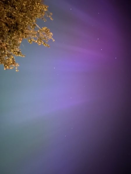 Anyone watching for Northern Lights tonight?