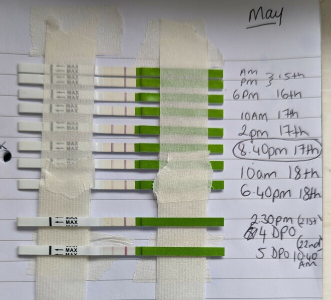 Is this positive for peak ovu?
