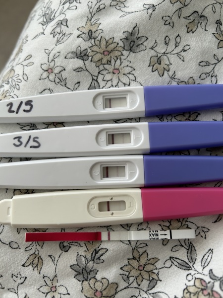 I have no idea what to think!