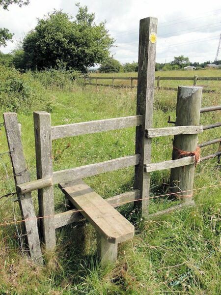 Aston University + gerbil merch thread