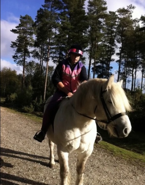 Any Highland Pony people on here?