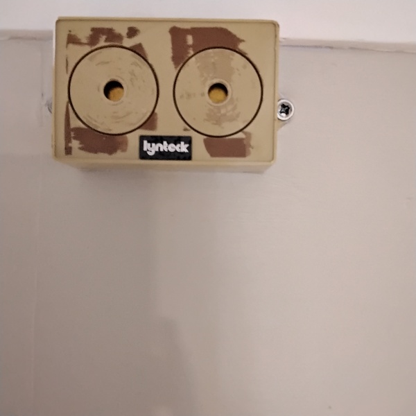 What's this?