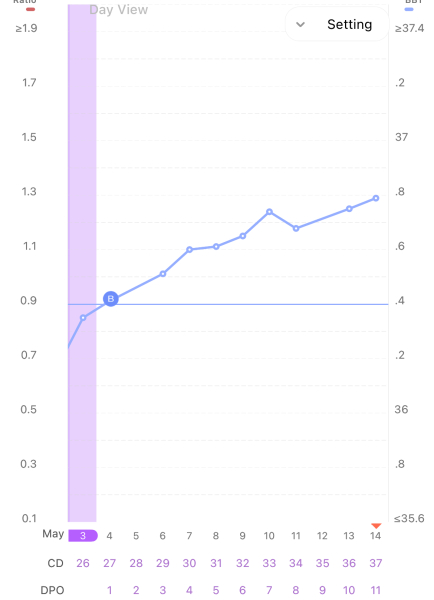 BBT chart – trying not to get my hopes up! What do you think?