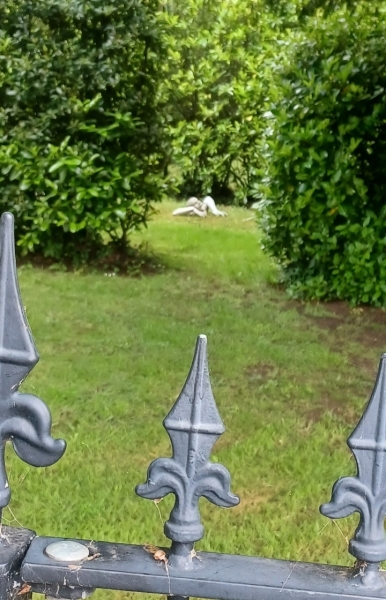 Come chat hiking with me!