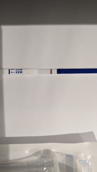 TWW after miscarriage