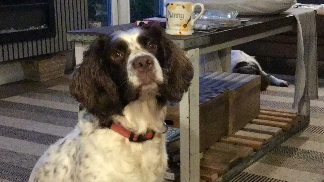 Thread 47 Sunak : The Ship of Fools sails on