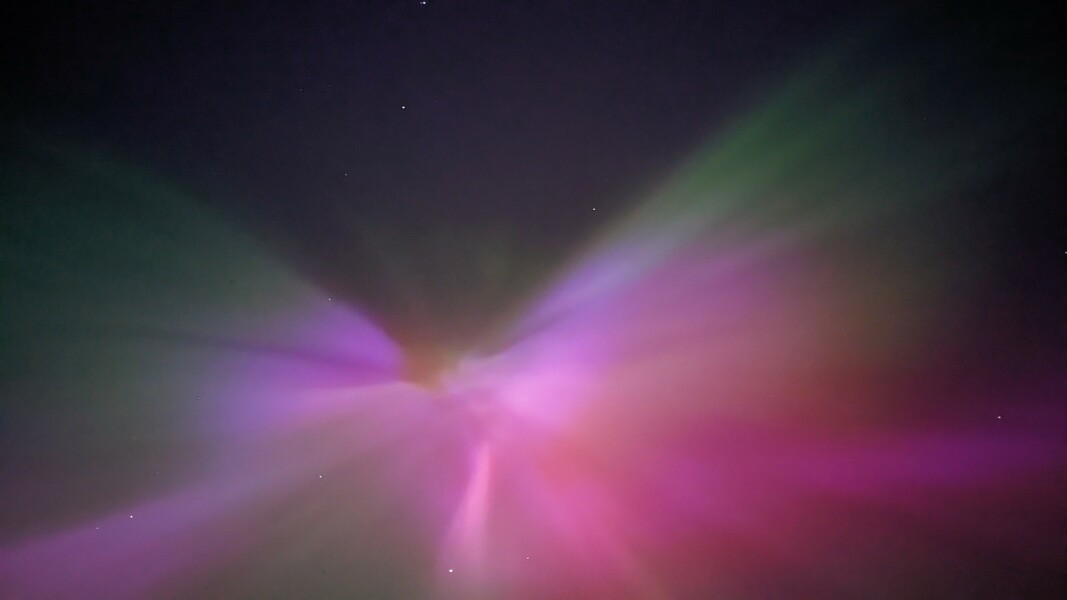 TWW after miscarriage