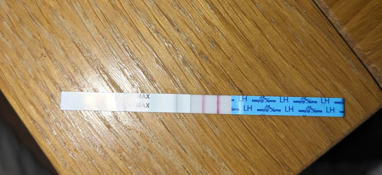 Is this positive for peak ovu?