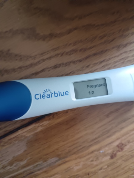 Are these good signs for a BFP?