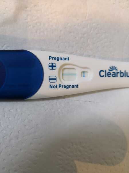 Clear blue test. Evap line or positive