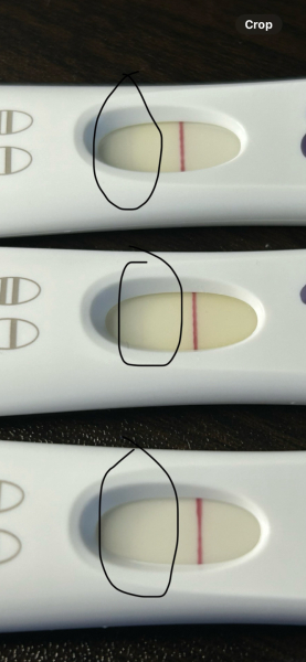 Positives, left over HCG or Evaps?