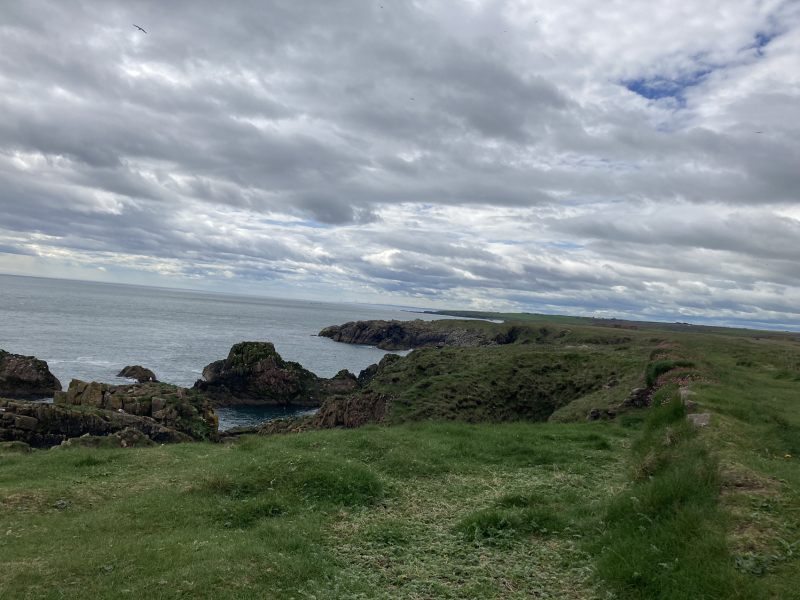 Come chat hiking with me!