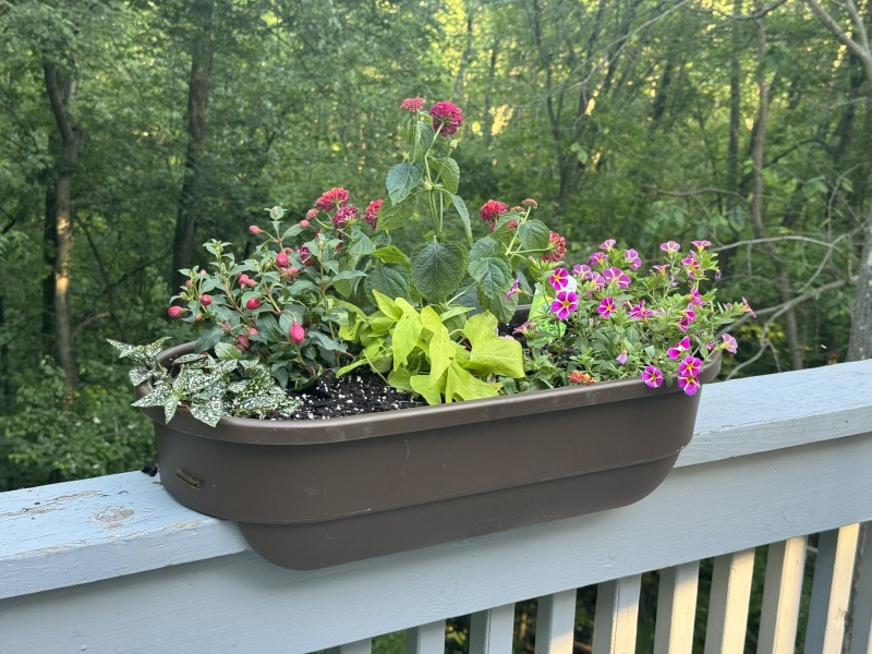 Come and tell me your dull and unexciting news 30: Calmly through the day