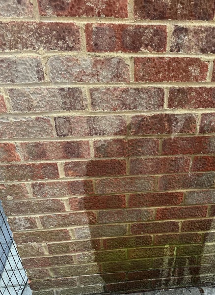 How do I get rid of this green stuff on brick?