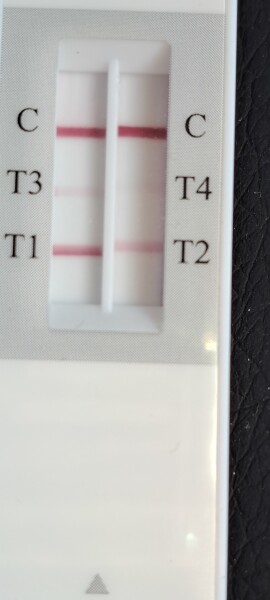 Accufast weekly indicator test