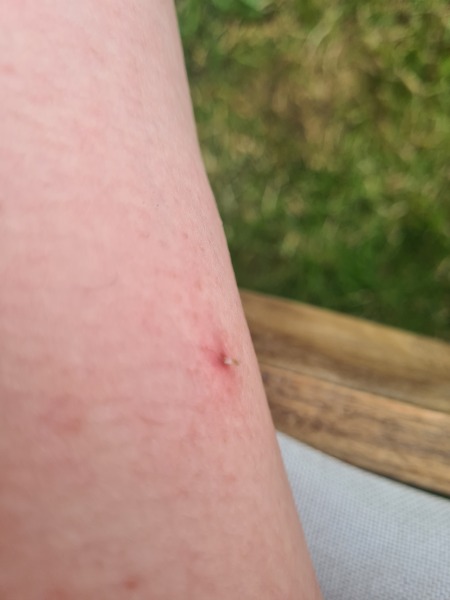 Made my own sporn video