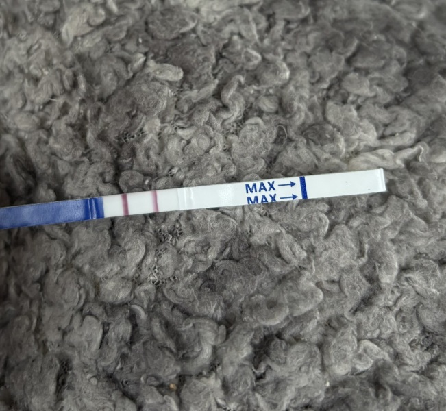 Is this dark enough for 16/17 dpo?