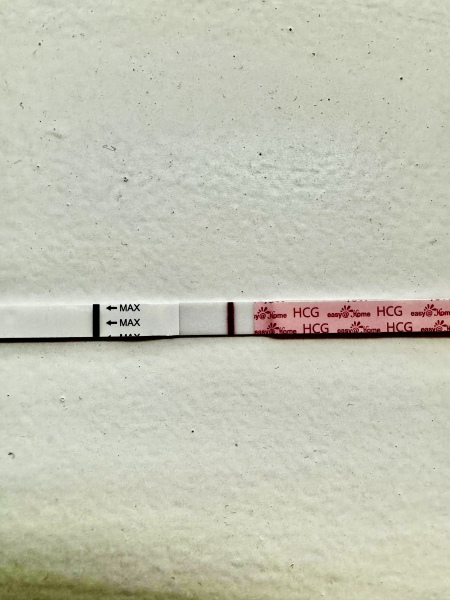 Anyone want to join for two week wait?