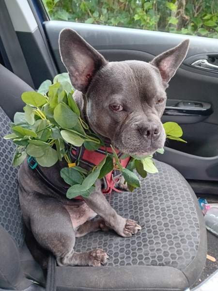 New April continuing thread for living an alcohol free life - all welcome