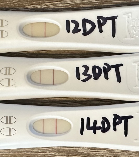 Anyone else preparing for FET April 2024