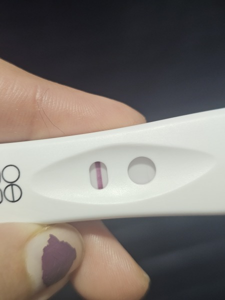Early pregnancy