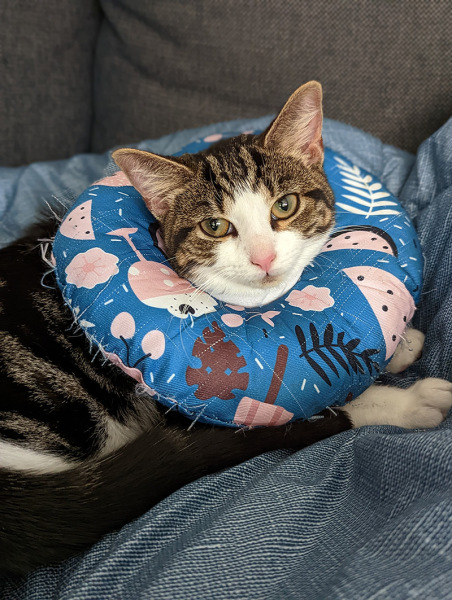The cone of doom isn’t working!