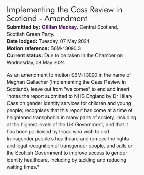 Hillary Cass at Scottish parliamet - live