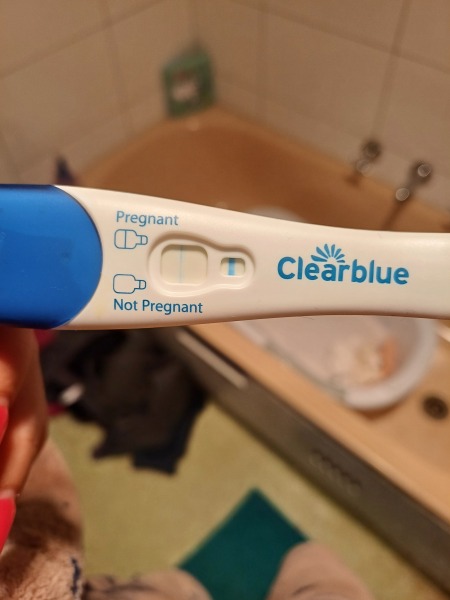 Clear blue test. Evap line or positive