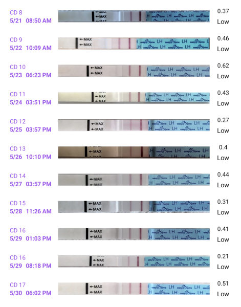 Is this an anovulatory cycle?
