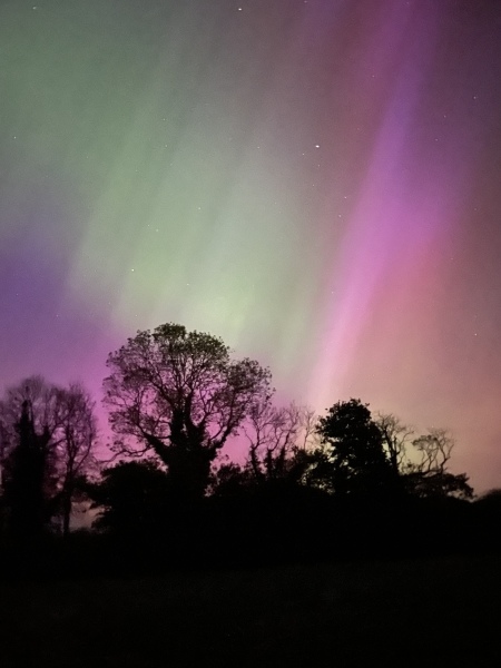 Anyone staying up to try and glimpse the Aurora Borealis?