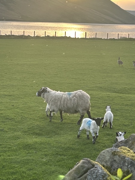 Living on a Scottish island