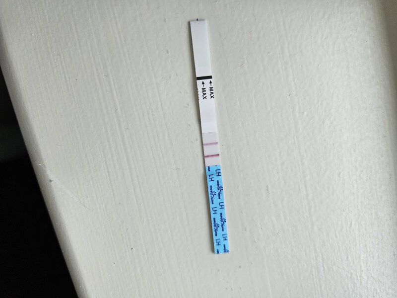 TTC after Early Miscarriage part 3