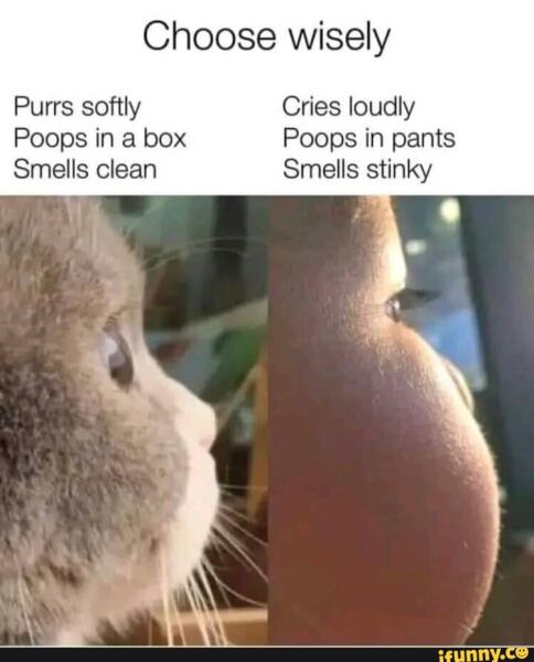 Why did you choose not to have children