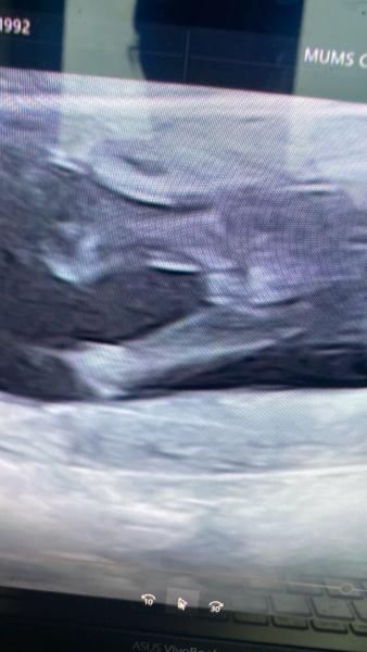 September 2024 - Thread 7! 🐣🧡💛❤️