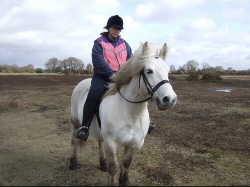 Any Highland Pony people on here?