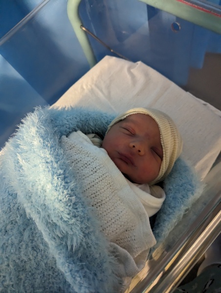Does my baby suit Henry Albert or Albert Henry